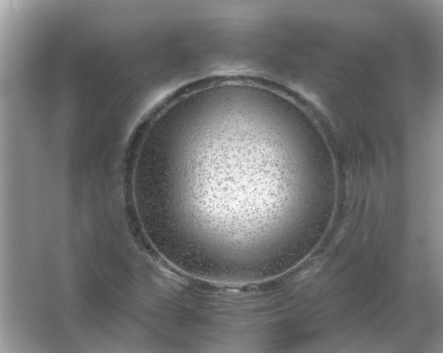 X0000067001311200604072138