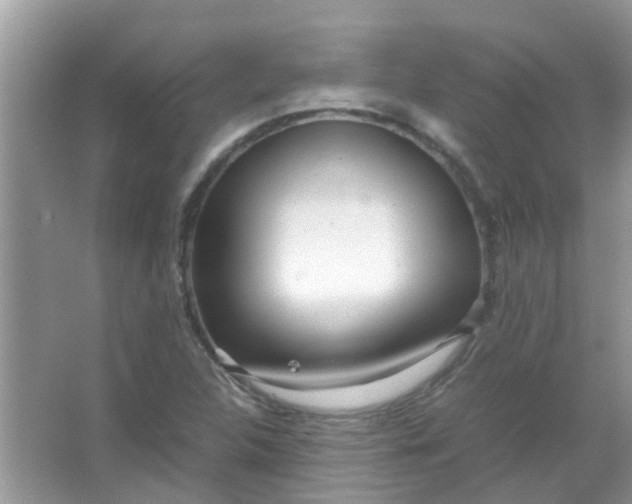 X0000067001312200604072138