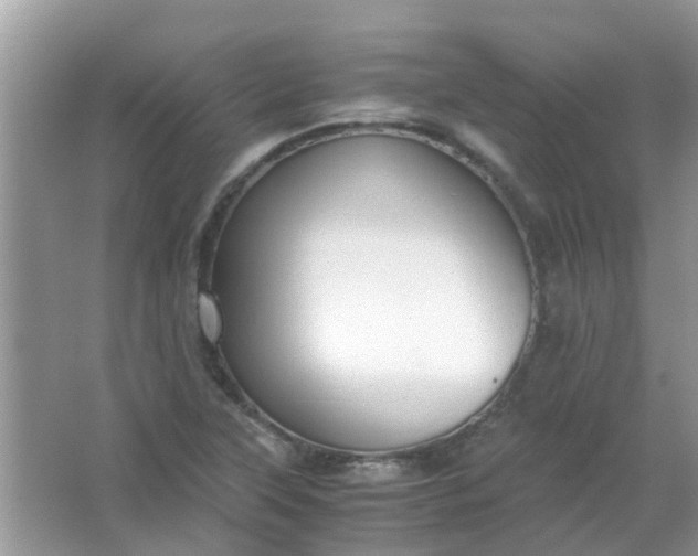 X0000067001315200604072138