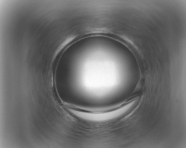 X0000067001317200604072139