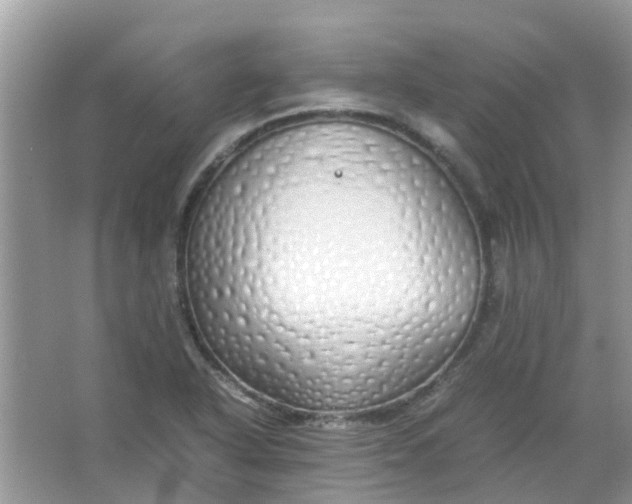 X0000067001318200604072139