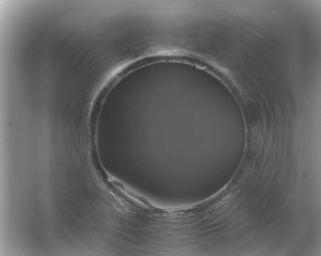 X0000067001319200604072139