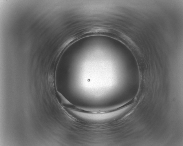 X0000067001321200604072139