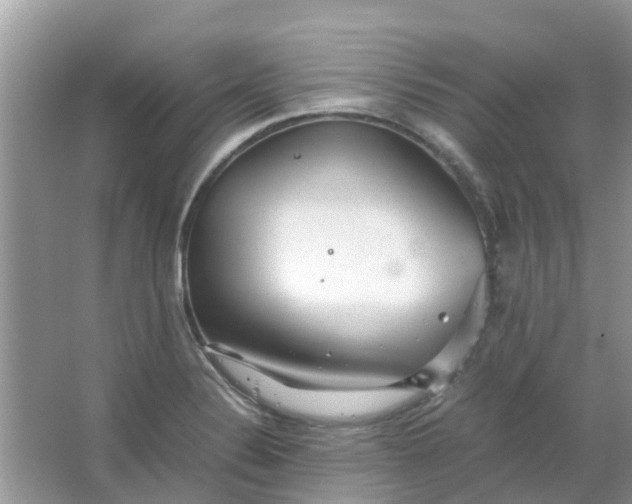 X0000067001324200604072139