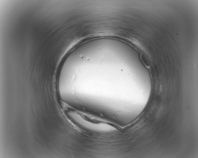 X0000067001325200604072139