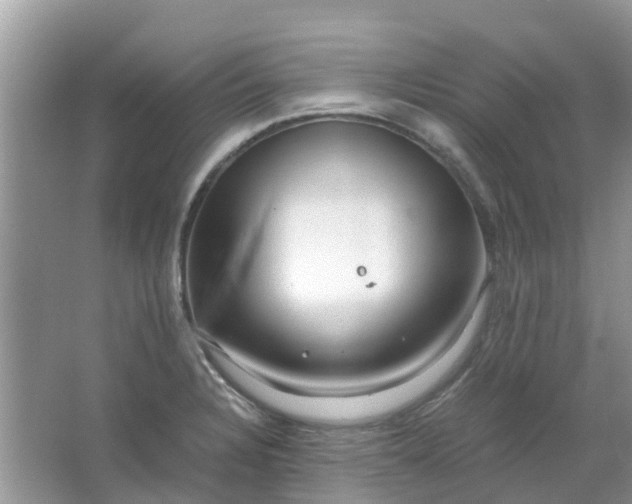 X0000067001328200604072139