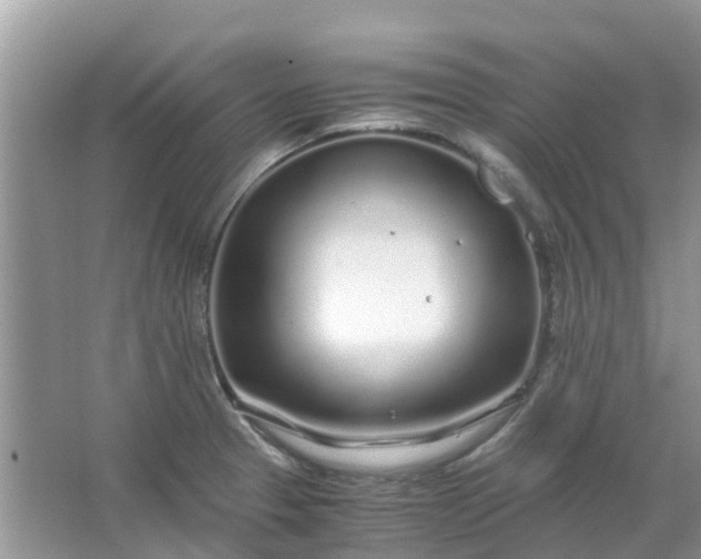 X0000067001329200604072139