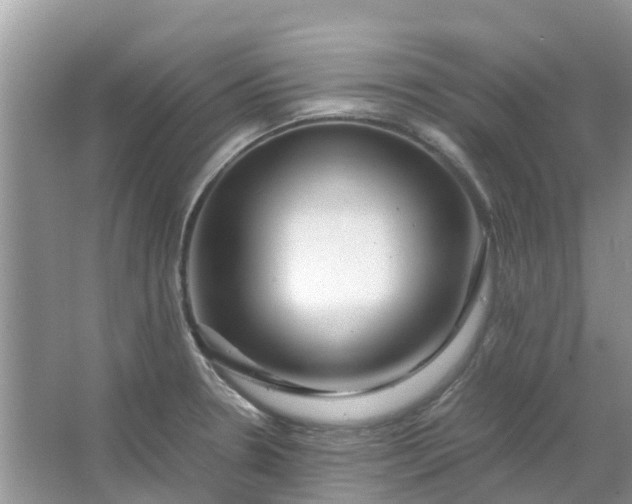 X0000067001330200604072139