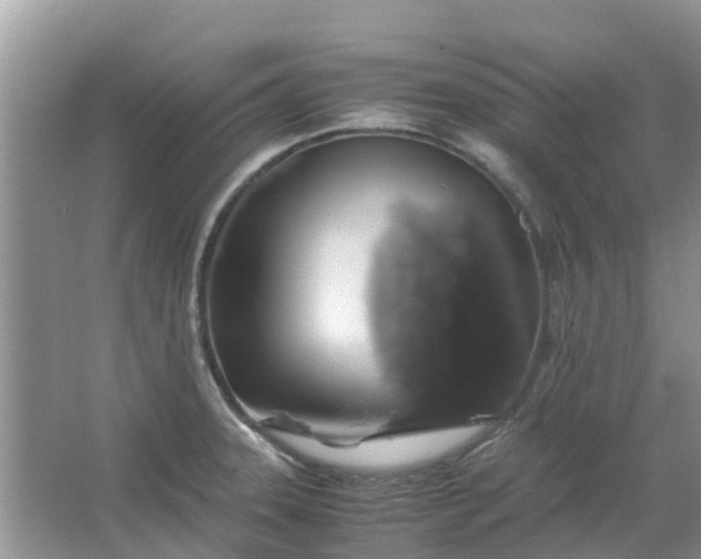 X0000067001331200604072139