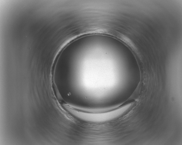 X0000067001332200604072139