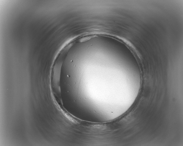 X0000067001333200604072139