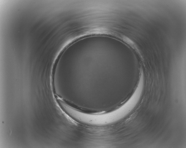 X0000067001334200604072139