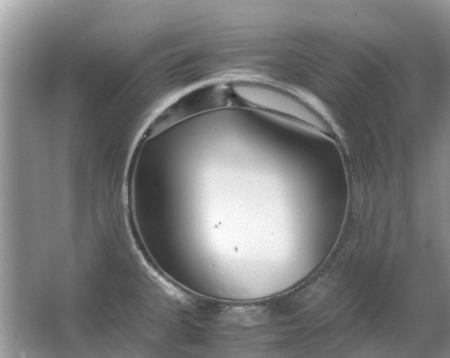 X0000067001335200604072139