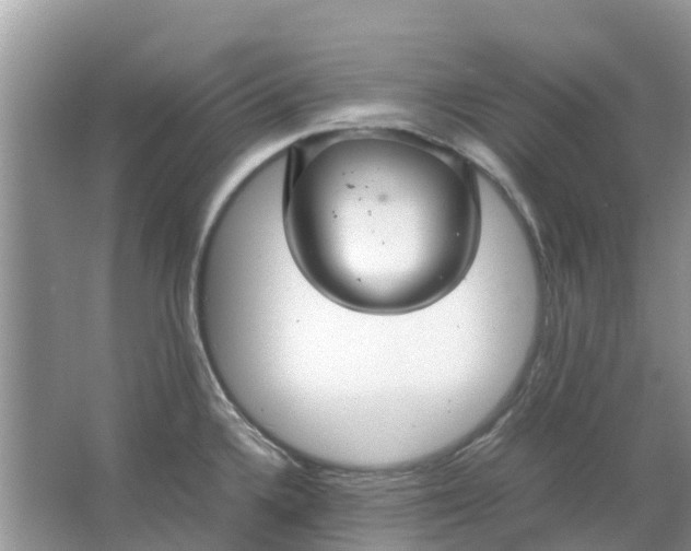 X0000067001336200604072139