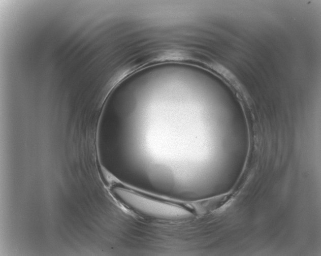 X0000067001337200604072139