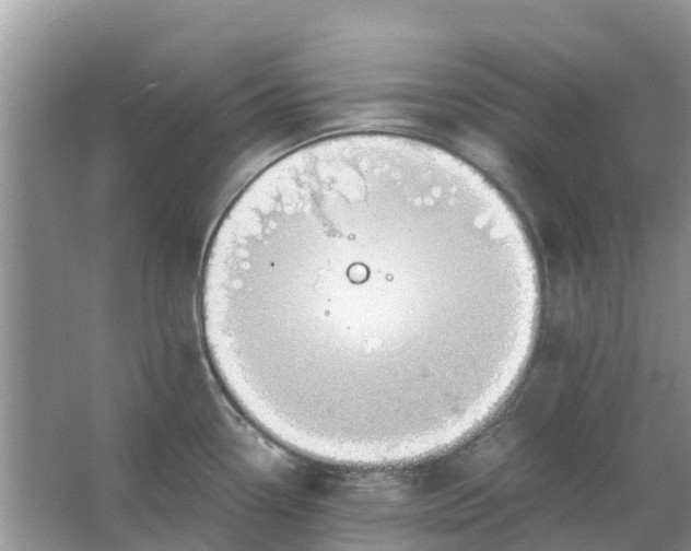 X0000067001338200604072139