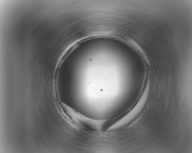 X0000067001340200604072139