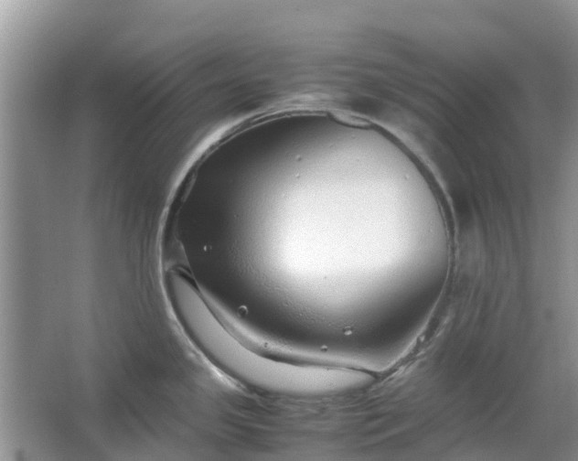 X0000067001341200604072139