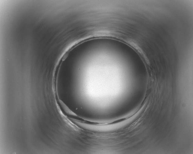 X0000067001342200604072139