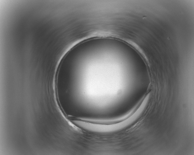 X0000067001343200604072139