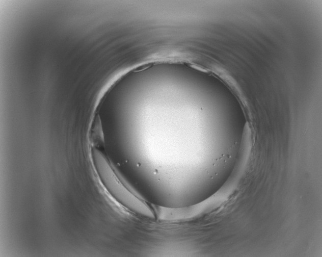 X0000067001344200604072139