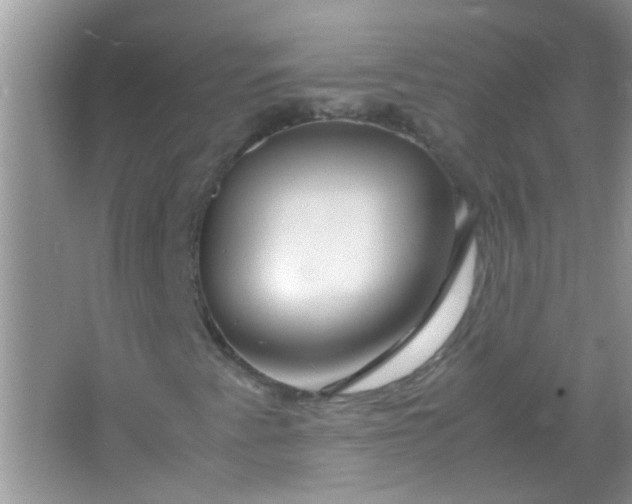 X0000067001345200604072138