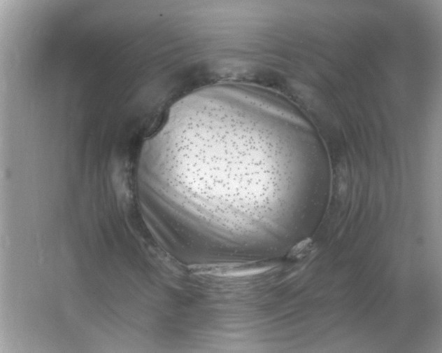 X0000067001346200604072138