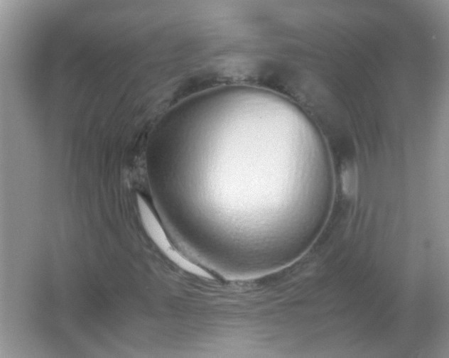 X0000067001347200604072138