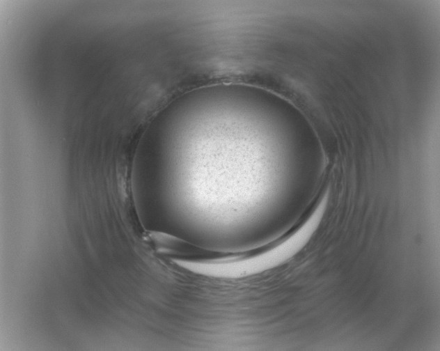 X0000067001348200604072138