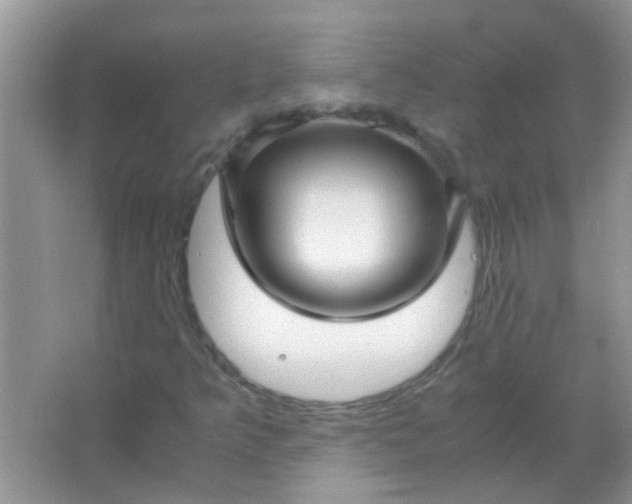 X0000067001349200604072138