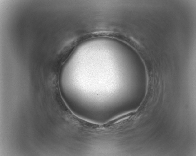 X0000067001351200604072138