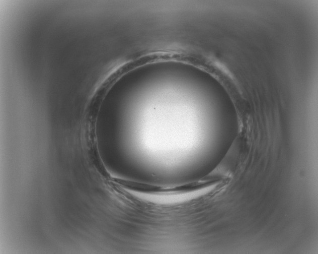 X0000067001352200604072138