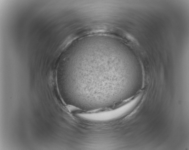 X0000067001353200604072138