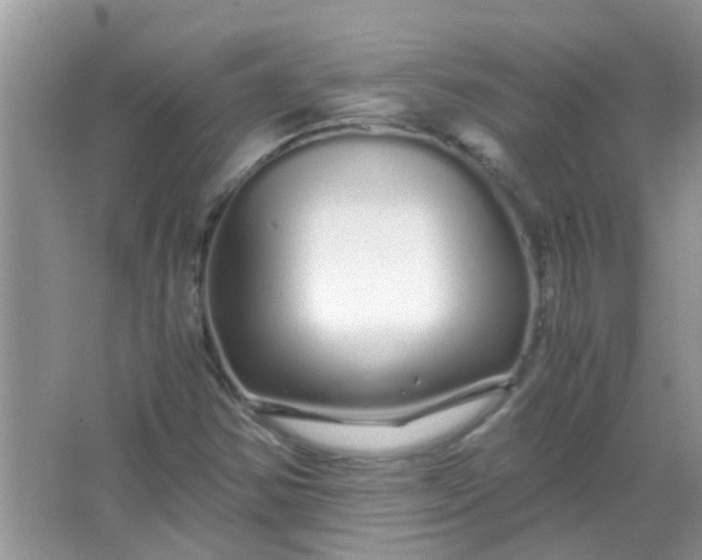 X0000067001354200604072138