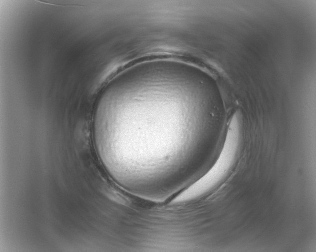 X0000067001355200604072138