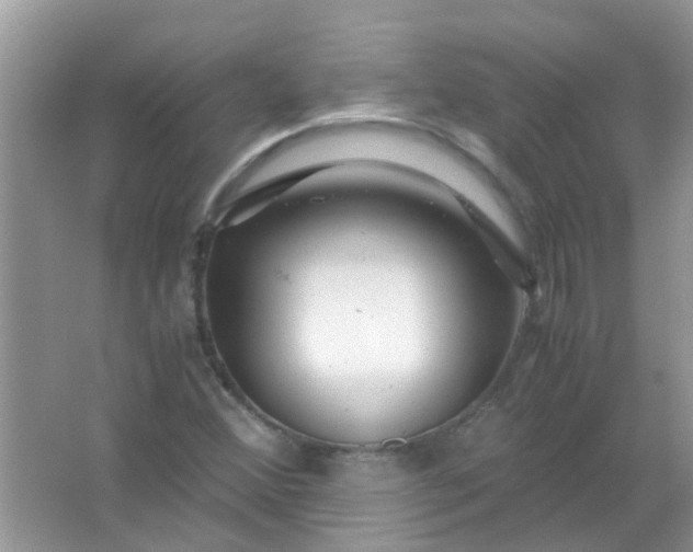 X0000067001356200604072138