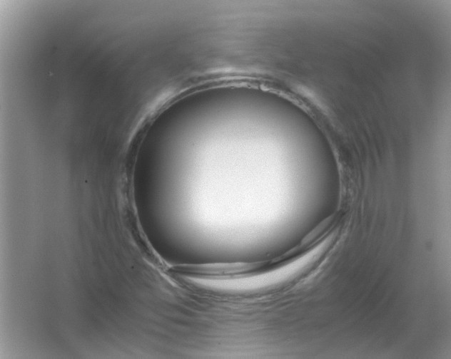 X0000067001357200604072138