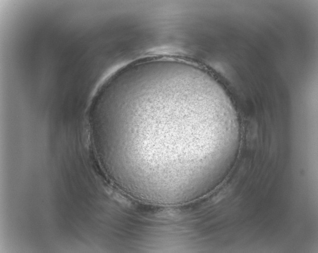 X0000067001358200604072138