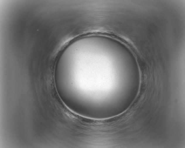 X0000067001359200604072138