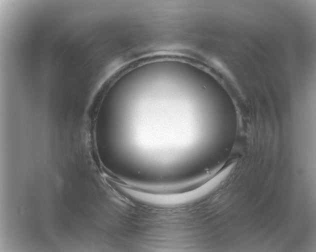 X0000067001360200604072138