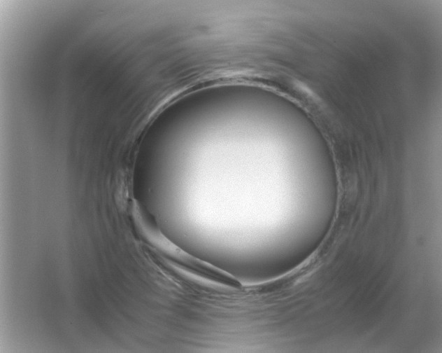 X0000067001361200604072138