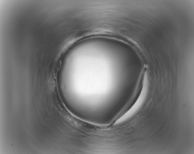 X0000067001363200604072138