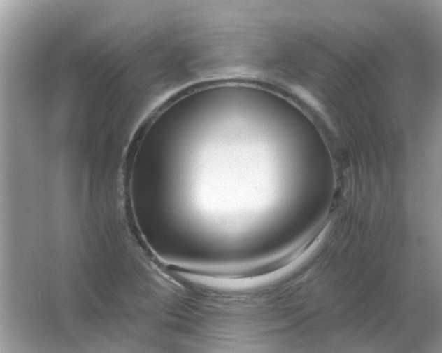 X0000067001364200604072138