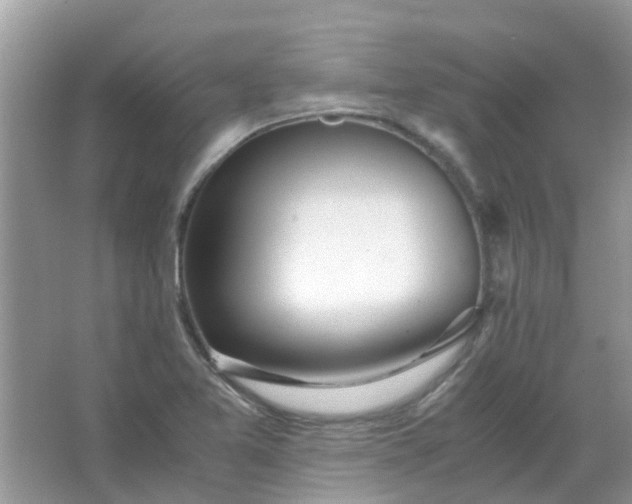 X0000067001365200604072138