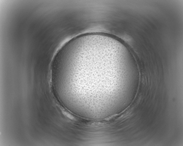 X0000067001366200604072138