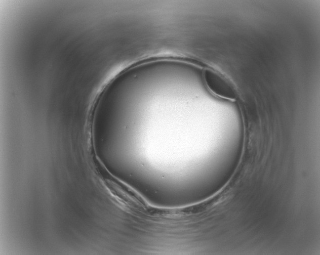 X0000067001367200604072138