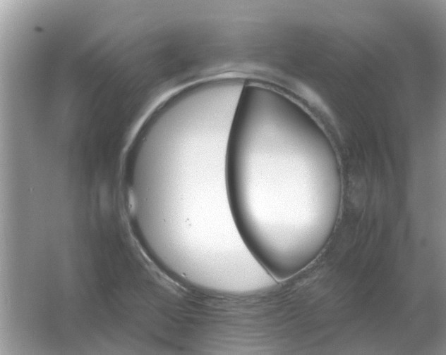 X0000067001368200604072138