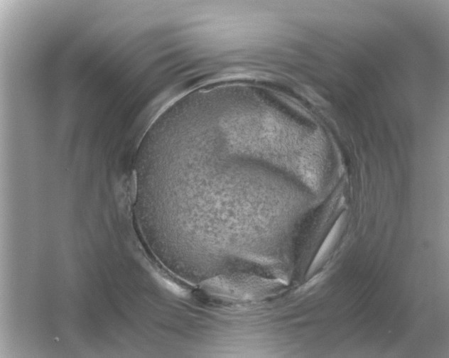 X0000067001369200604072138