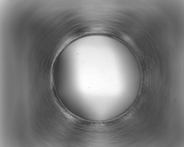 X0000067001370200604072138