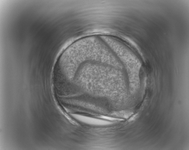 X0000067001373200604072138